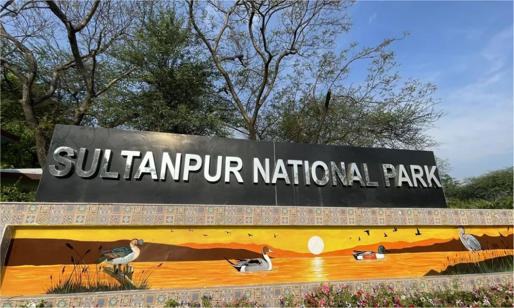 sultanpur-national-park-near-JMD-Hotel-Farrukhnagar